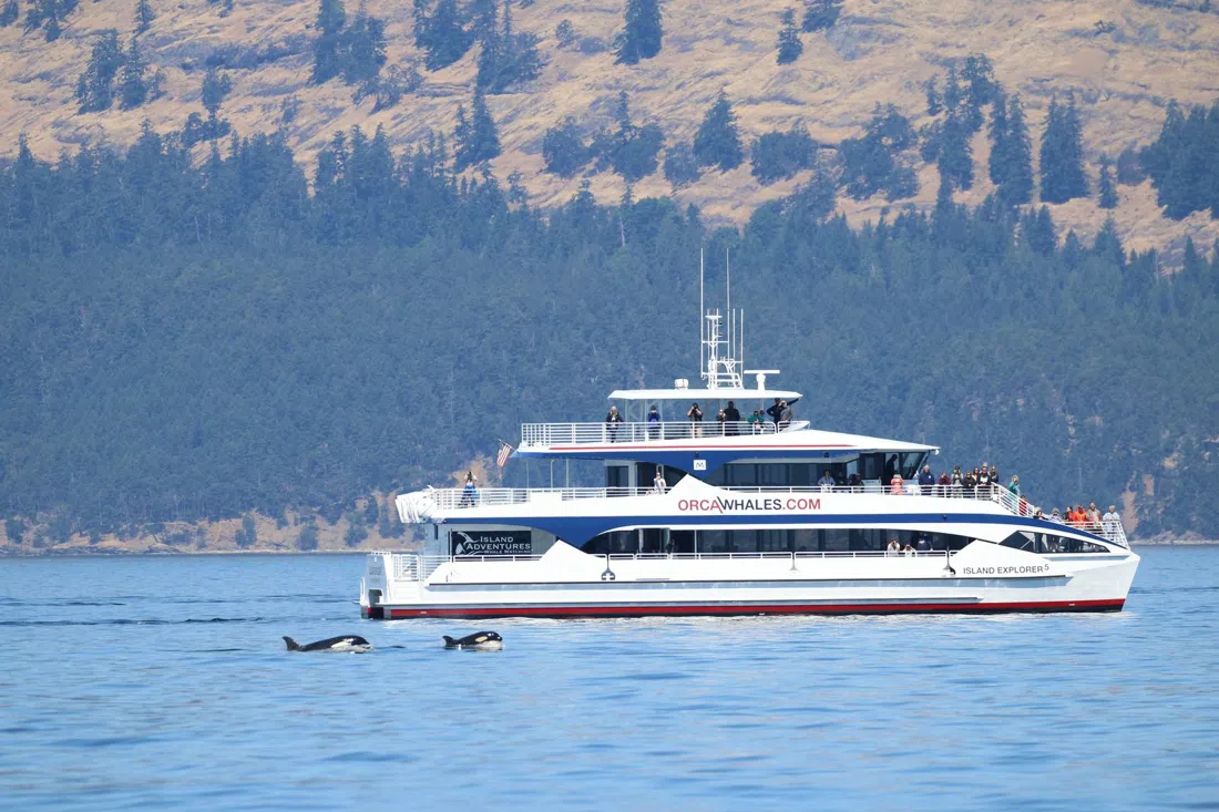 Island Adventures, Washington