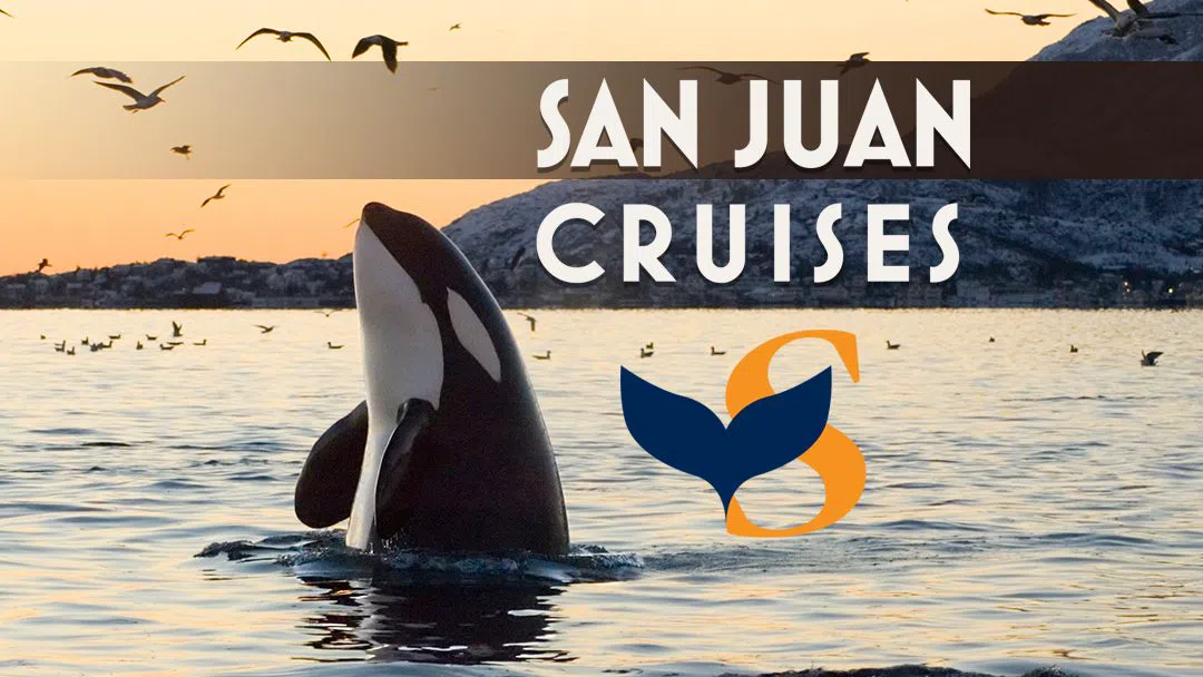 San Juan Cruises, Washington