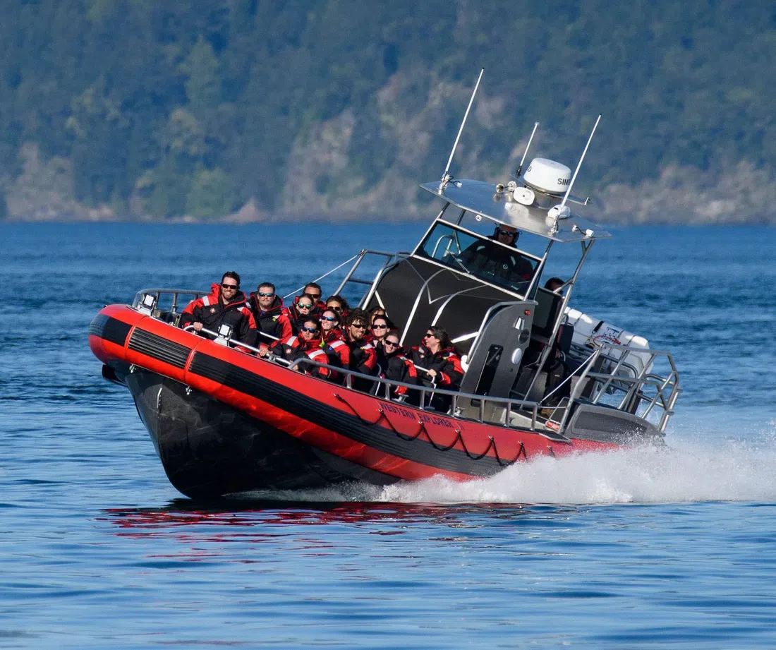 Western Prince Whale Watching, Washington