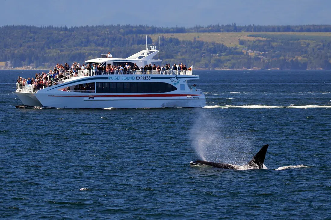 Puget Sound Express, Washington