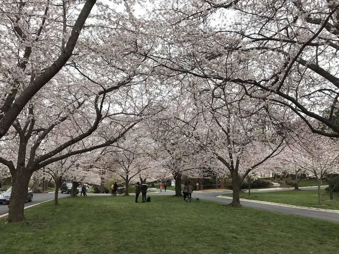 Kenwood (Bethesda, MD), Washington