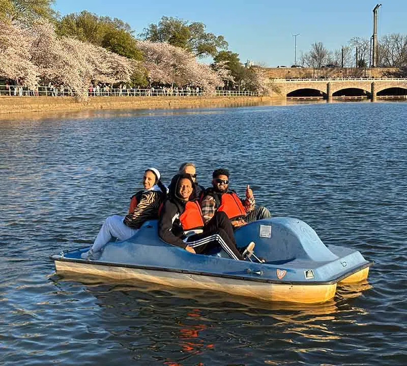 Tidal Basin Paddle Boats (Boating in DC), Washington