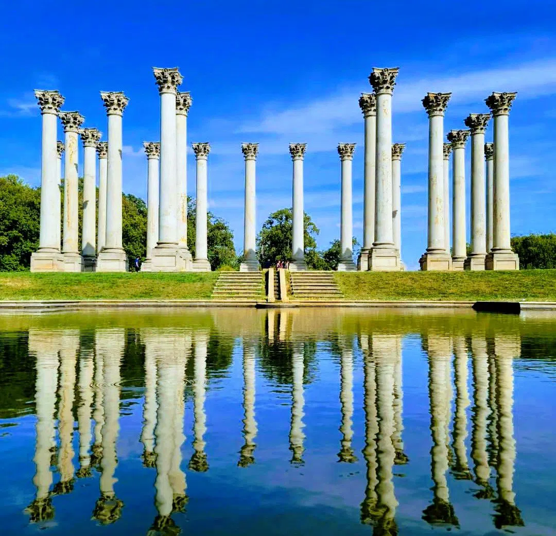 U.S. National Arboretum, Washington