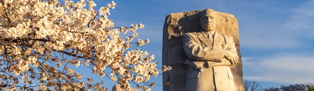 Martin Luther King, Jr. Memorial, Washington