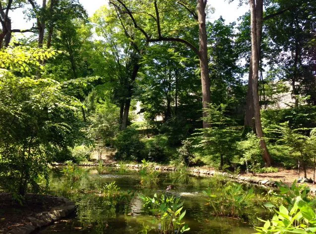 Tregaron Conservancy, Washington