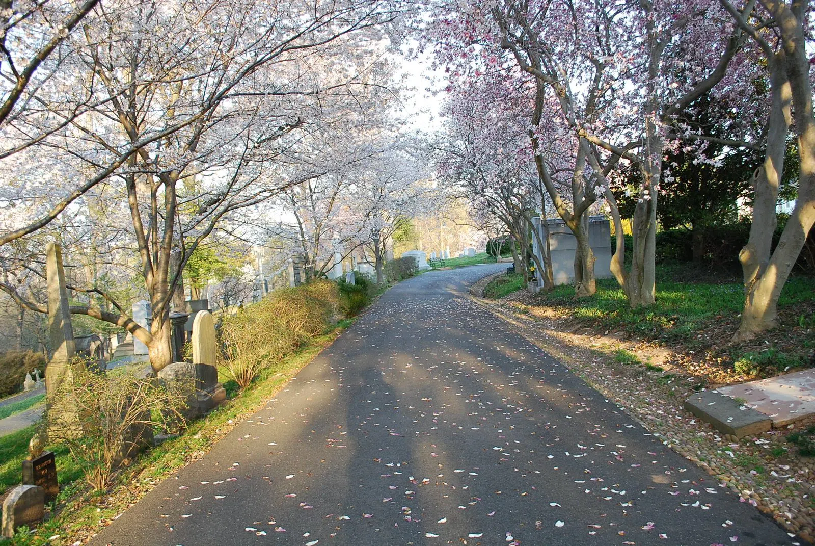 Oak Hill Cemetery, Washington